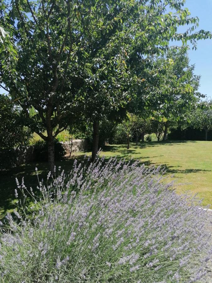Domaine Des Deux Rivieres Bed & Breakfast Meilhan-sur-Garonne Ngoại thất bức ảnh