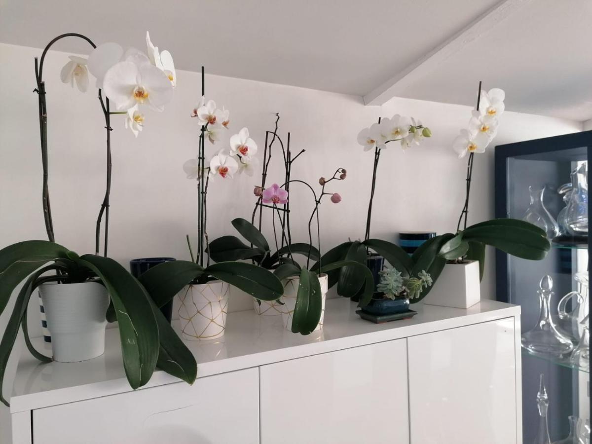 Domaine Des Deux Rivieres Bed & Breakfast Meilhan-sur-Garonne Ngoại thất bức ảnh