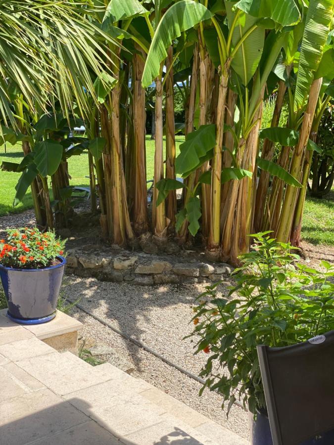 Domaine Des Deux Rivieres Bed & Breakfast Meilhan-sur-Garonne Ngoại thất bức ảnh